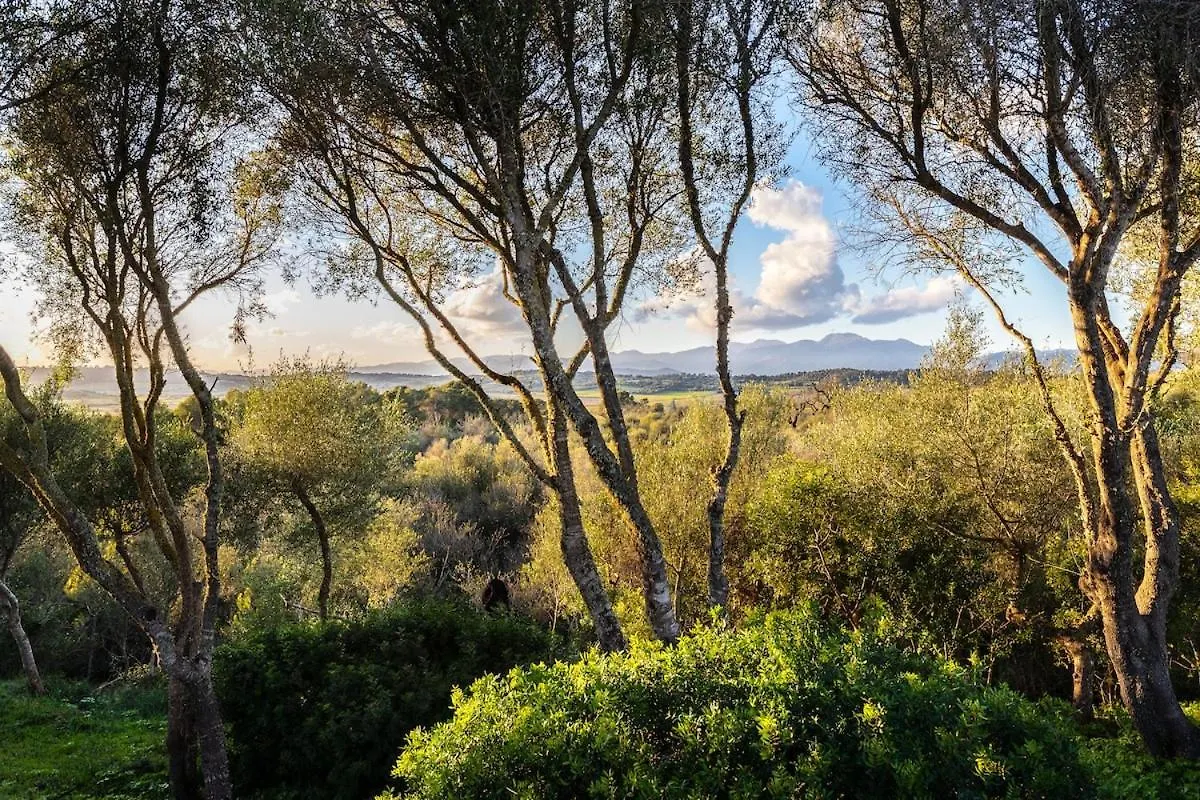 Finca Es Pujol María de la Salud 0*,  İspanya